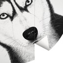 Fototapeta na ścianę Siberian husky - portret psa - Korenkova - okrągła - - tapeta flizelinowa/tapet