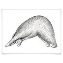 Plakat Kvilis - Yoga Bear 01