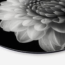 Tableau sur alu-Dibond Grønkjær - Dahlia - Rond