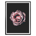Plakat premium Pink Flower Dream 02