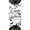 Sticker mural - Bordure Carpe Diem