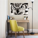 Zelfklevende Poster Trotse Uil