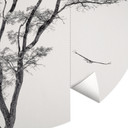 Minimalistyczne drzewo w spokojnym krajobrazie | Fototapeta natura - Mąka - okrągła - tapeta flizeli