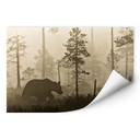 Wallprint Ove Linde - Nebel am Morgen