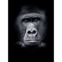 Papier peint photo Gorille - 192x260 cm