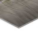Acrylglas afbeelding lotusbloemen met zwaan in water in grijs - Ms Tiff