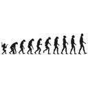 Wallsticker Evolution