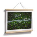 Plakat Murko - Matka Natura