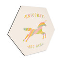 Hexagon Dibond Bodart - Unicorns are Real