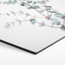 Hexagone - Alu-Dibond Sisi & Seb - Branche d'Eucalyptus