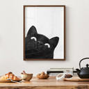 Poster Chat noir amusant - Korenkova