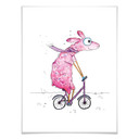 Plakat Hagenmeyer - Llama z rowerem