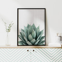 Plakat Sisi & Seb - Succulent