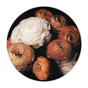 Plakat FiguraNYC Photography - Ranunculus Still Life - Round