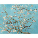 Papier peint photo van Gogh - Amandier en fleur