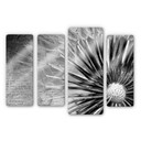 Tableau en verre - Pissentlit (4 parties)