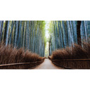 Fototapet - Colombo - Bambushule i Japan