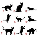 Wallsticker Katte