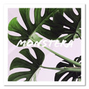 Canvasbillede, Monstera eksotiske blade