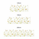 Stænkplade til køkken - Alu-Dibond - Disher - Ox eye Daisies