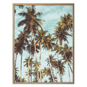 Plakat - Palms 08