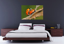 Poster autocollant - W - Couple de Coccinelles