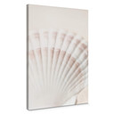 Obraz na płótnie 1X Studio - Scallop