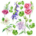 Muursticker Diverse Bloemen