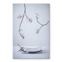 Akrylbillede Karpova - Spa og Zakura - Forårsstilleben Blomster