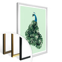 Plakat Loose - Monstera Bird