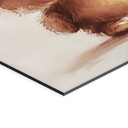 Fototapet Lille bamse med ballon - Magnusson – print på aluminium (Alu-Dibond)