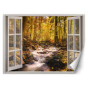 Fototapete Fenster - Wald Bach Natur