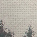 fototapet Designwalls i hvidt og grønt non-woven tapet Misty Forest landskab træ