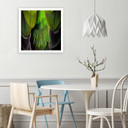 Canvasbillede, Fjer natur