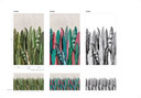 Fototapet med palmer sort, hvid, blomster 2,70 x 1,59 m