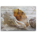 Canvasbillede, Skaller i vintagestil