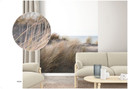 Fototapet med græs ved havet beige,Blomst 2,70 x 2,12 m