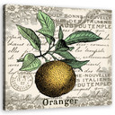 Canvasbillede, vintage orange