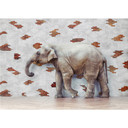 Fototapet - The Walking Elephant