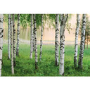 Fototapete Papiertapete Nordischer Wald - 8-teilig