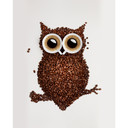Fototapet - Kaffeugle