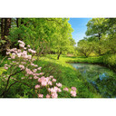 Fotobehang Papierbehang Park in de Lente - 366x254 cm