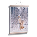 Plakat Winter Fawn