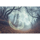 Architects Paper Papier peint photo Atelier 47 Symbol Forest