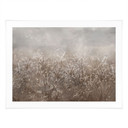 Poster Pampagras en grassen in beige - Ms Tiff