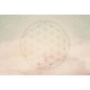 Architects Paper Papier peint photo Atelier 47 Flower of Life oriental