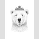 Fototapeta Korenkova - Królowa niedźwiedzi