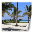 Fototapete, Palmen und das blaue Meer