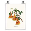 Luźny plakat - fabryka pizzy