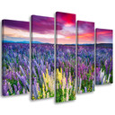 Lærred print 5 styk, blomster eng lilla